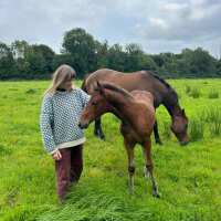 Read Meadowmania Reviews